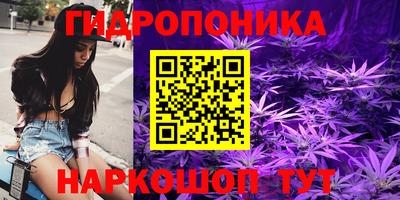 МДПВ Дубна
