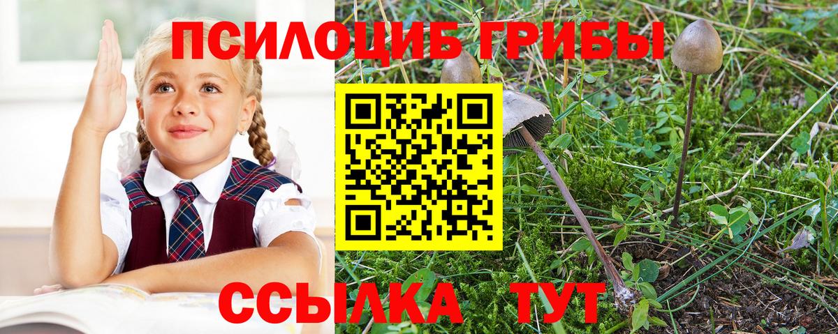 хочу   Вход с VPN  Нефтекумск  Псилоцибиновые грибы GOLDEN TEACHER  Псилоцибиновые грибы ЛСД 