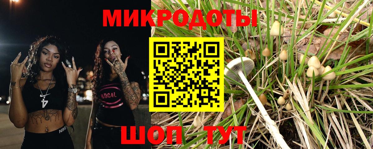 Галлюциногенные грибы Psilocybine cubensis Нефтекумск